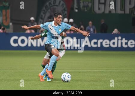 Sao Paulo, Brésil 16 04, 2026 match de football entre Palmeiras (Brésil) et Sporting cristal (Pérou) lors de la 2ème manche du CONMEBOL Libertadores Banque D'Images