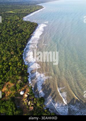 Vue aérienne de la côte tropicale luxuriante où la jungle dense rencontre la mer turquoise des Caraïbes avec des vagues blanches qui s'écrasent sur la plage de sable de Palomi Banque D'Images