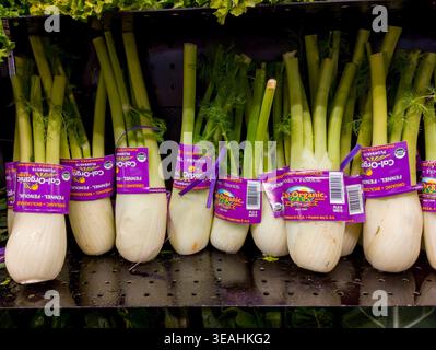 Vadnais Heights, Minnesota. Fenouil biologique exposé dans l'île des produits au Fresh Thyme Market. Banque D'Images