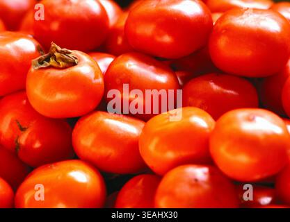 Gros plan d'un gros tas de tomates rouges juteuses. Banque D'Images
