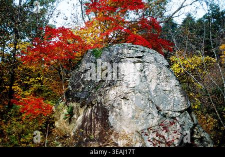 Un grand rocher se trouve sur une colline, entouré d'un feuillage d'automne vibrant. Banque D'Images