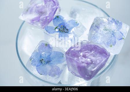 Glaçons avec des fleurs bleues et violettes gelées à l'intérieur. Banque D'Images