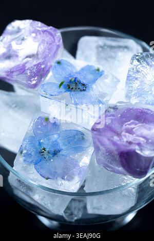 Un bol en verre contenant plusieurs glaçons avec des fleurs bleues et violettes congelées à l'intérieur, sur un fond sombre. Banque D'Images