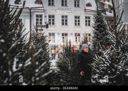 Tallinn, Estonie - 03 janvier 2025 : vue d'un homme au milieu d'arbres poussiéreux de neige, avec le panneau lumineux « Restoran Estonia » qui brille chaleureusement contre le PA Banque D'Images