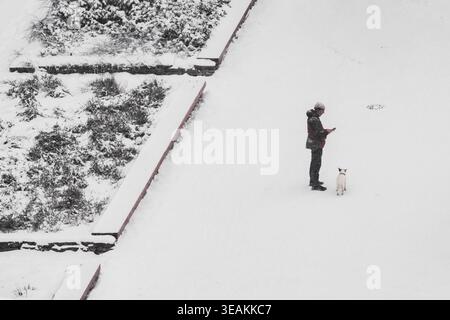 Tallinn, Estonie - 03 janvier 2025 : vue d'une figure solitaire avec leur chien debout au milieu d'une vaste étendue de neige fraîche et intacte, coulant longtemps, donc Banque D'Images