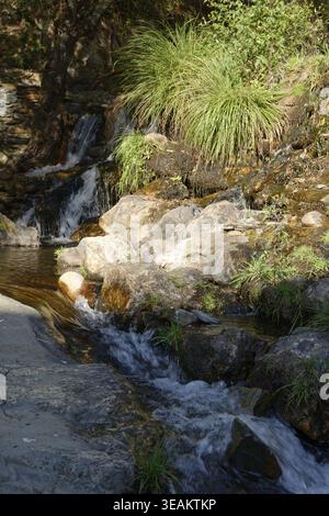 Cascade près de Poco da Broca, Poco da Broca, Serra da Estrela, Regiao do Centro, Portugal Banque D'Images