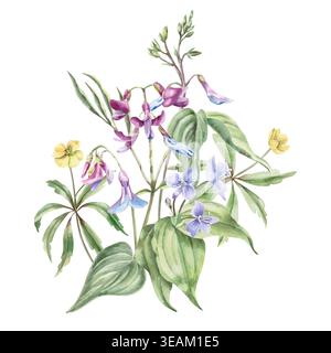 Un bouquet de fleurs de forêt printanières jaunes, lilas et bleues. Cette illustration aquarelle isolée convient aux conceptions dans les domaines de la botanique Banque D'Images