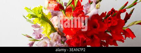 Un vase contient une variété de glaïeules colorés, y compris des fleurs rouges et blanches. L'arrangement se trouve sur une surface propre, ajoutant une touche de nature au Banque D'Images