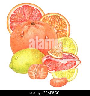 Aquarelle pamplemousse, orange et citron et mandarine avec fruits entiers et tranches juteuses. Peint à la main et isolé. Idéal pour l'emballage et le menu, laboratoire Banque D'Images