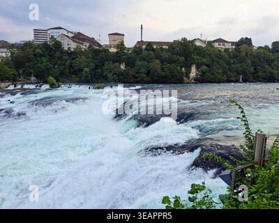 Chutes du Rhin sur le Rhin à Schaffhausen, Suisse, la plus grande cascade d'Europe Banque D'Images