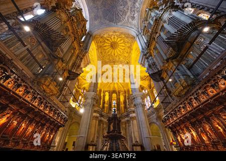 Cathédrale de Malága Andalucía en Espagne Banque D'Images