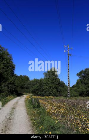 Vitorino das Donas, Portugal - 26 mars 2026 : vue lointaine d'un pylône électrique en treillis d'acier s'élevant au-dessus de la cime verte des arbres contre un SK bleu vif Banque D'Images
