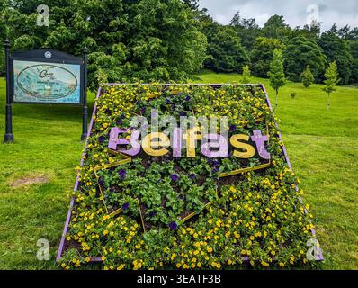 Belfast, Royaume-Uni, 22 juin 2024. Vue d’un panneau coloré « Belfast » placé sur une herbe verte luxuriante, avec le panneau Cavehill Country Park en arrière-plan Banque D'Images