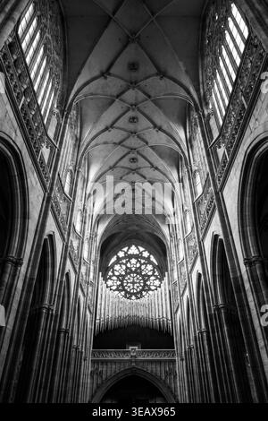 Les visiteurs explorent le vaste espace gothique de la cathédrale de préparation Vitus au château de Prague. Les arches hautes et les conceptions complexes captent l'attention de beaucoup tout au long de la journée. Banque D'Images