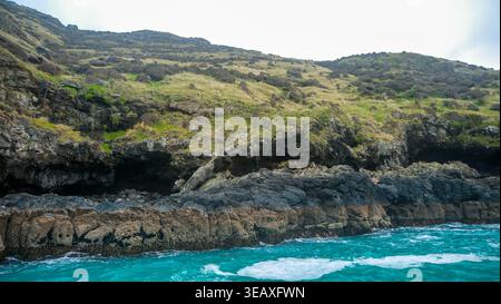 Les falaises côtières rocheuses s'élèvent au-dessus des eaux turquoises dans la baie d'Akaroa, en Nouvelle-Zélande, avec des phoques à fourrure reposant le long du littoral. Banque D'Images