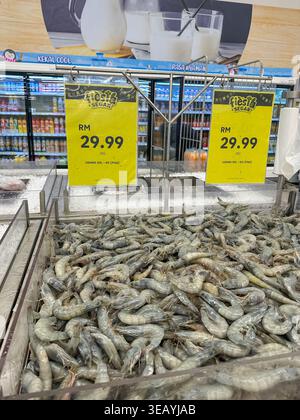 Johor, Malaisie, 24 avril 2026 : grandes crevettes tigrées fraîches (udang harimau), étiquetées Udang XXL, exposées sur la glace dans la section des fruits de mer des supermarchés avec Banque D'Images