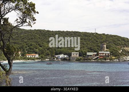 Marine de Meria, tour génoise restaurée, sur la côte est du Cap Corse, Corse - Marine de Meria, tour génoise restaurée sur la côte est du Cap Co Banque D'Images