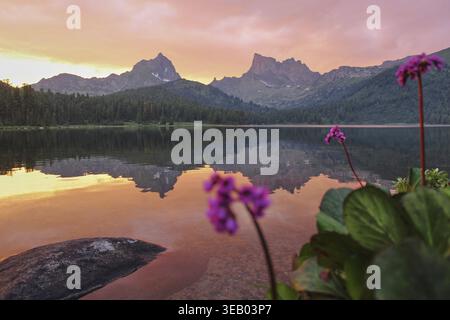 Magnifique paysage avec de hautes falaises et des pics pointus, des pierres et des fleurs sur un lac de montagne Shore, reflet, ciel rose et lumière du soleil jaune au coucher du soleil. Banque D'Images