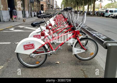 Anvers, Belgique - 23 août 2018 - rangée de vélos de location rouges alignés sur la rue de la ville à anvers Banque D'Images