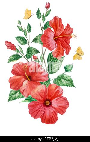 Fleurs d'hibiscus rouge, branches et bourgeons avec papillons aquarelle illustration isolée. Clip art de plante en fleurs tropicales dessiné à la main Banque D'Images