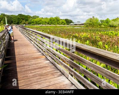 Promenade et centre d'accueil du Green Cay nature Center & Wetlands à Boynton Beach, Floride, États-Unis Banque D'Images