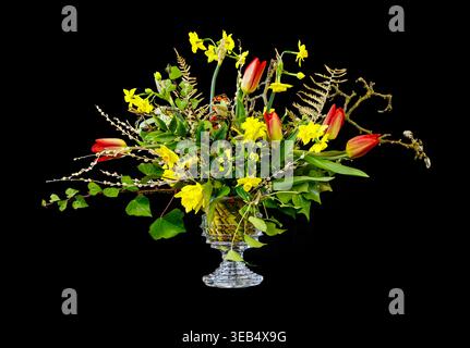 Bouquet de printemps mélangé avec tulipes et fleurs jaunes disposés dans un vase en verre transparent, sur fond noir dramatique pour un contraste éclatant. Banque D'Images