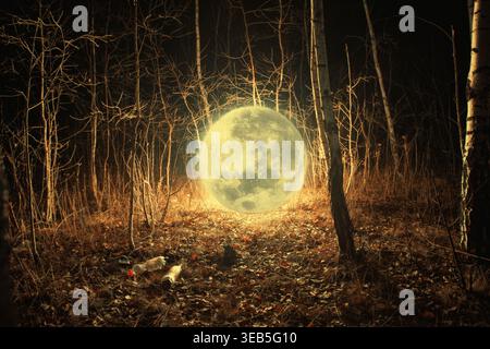 Scène surréaliste d'une lune géante qui brille sur le sol dans une forêt nocturne sombre. Métaphore environnementale avec des bouteilles en plastique jetées sur les feuilles d'automne Banque D'Images