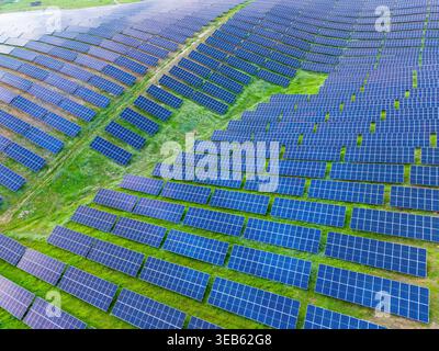 Les panneaux solaires couvrent une large surface de terrain, disposés en rangées soignées. La scène montre de l'herbe verte entre les panneaux solaires sous un ciel bleu clair. Banque D'Images