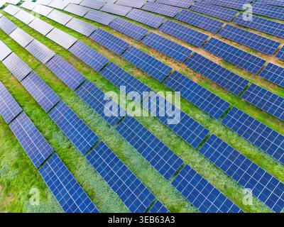Des rangées de panneaux solaires couvrent une vaste zone de terre sous un ciel dégagé. Cette scène montre un projet d’énergie renouvelable travaillant à collecter l’énergie solaire pour Powe Banque D'Images