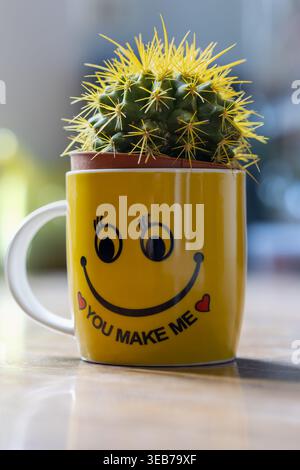 cactus en tonneau doré dans un petit pot brun placé à l'intérieur d'une tasse de visage souriant jaune joyeuse avec le texte you make me smile, lumière naturelle intérieure brillante Banque D'Images