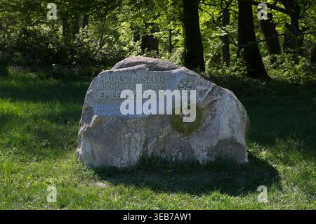 VISEGRAD, HONGRIE - 18 AVRIL 2026 : Pierre commémorative de l'ingénieur forestier Laszlo Madas (1920-2009) dans la forêt près de Visegrad au printemps. Banque D'Images