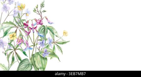 Un cadre rectangulaire de fleurs de printemps en jaune et violet-bleu. Illustration aquarelle pour la conception de cartes, textiles, mariages, sites Web de nature Banque D'Images