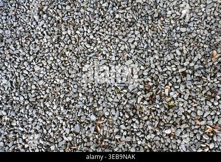 Vue rapprochée du gravier noir avec des tailles de pierre mélangées, texture rugueuse, feuilles séchées éparpillées, feuilles vertes éparpillées et petites brindilles Banque D'Images