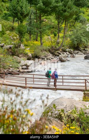 Deux randonneurs vêtus de sac à dos traversent soigneusement un pont en bois robuste, enjambant une rivière de montagne à débit rapide, entouré par le foli vert vibrant Banque D'Images