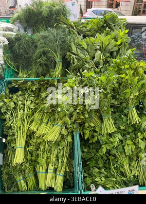 herbes fraîches du marché local Banque D'Images