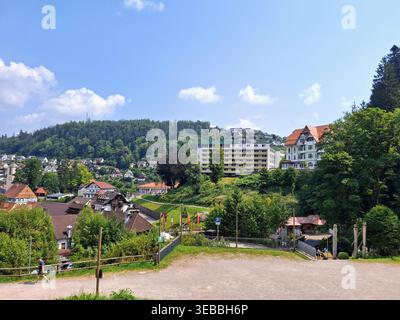 Vue sur la ville de Schaffhausen depuis Eulenpark près des chutes du Rhin, Suisse Banque D'Images