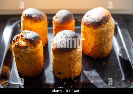 Gâteaux de Pâques traditionnels debout sur une plaque de cuisson dans une cuisine ensoleillée. Gâteries de vacances, pain maison, matinée festive. Pâques. Banque D'Images