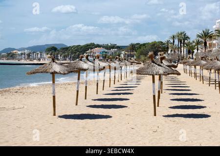Des rangées de parasols de paille traditionnels bordent les sables dorés de la plage de Port de Pollença à Majorque en Espagne avec des bâtiments côtiers et des palmiers sous un br Banque D'Images