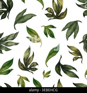 Motif vert sans couture avec de petites grappes de feuilles disposées dans une disposition organique équilibrée. Illustration aquarelle avec rythme naturel et main douce Banque D'Images