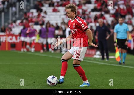 Lisbonne, Portugal. 25 avril 2026. Andreas Schjelderup de SL Benfica lors du match de Liga Portugal Betclic entre SL Benfica et Moreirense FC a joué au Sport Lisboa e Benfica Stadium le 25 avril 2026 à Lisbonne, Portugal. (Photo de Pedro Reis/PRESSINPHOTO) crédit : AGENCE SPORTIVE PRESSINPHOTO/Alamy Live News Banque D'Images