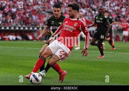 Lisbonne, Portugal. 25 avril 2026. Rafa de SL Benfica lors du match de Liga Portugal Betclic entre SL Benfica et Moreirense FC a joué au Sport Lisboa e Benfica Stadium le 25 avril 2026 à Lisbonne, Portugal. (Photo de Pedro Reis/PRESSINPHOTO) crédit : AGENCE SPORTIVE PRESSINPHOTO/Alamy Live News Banque D'Images