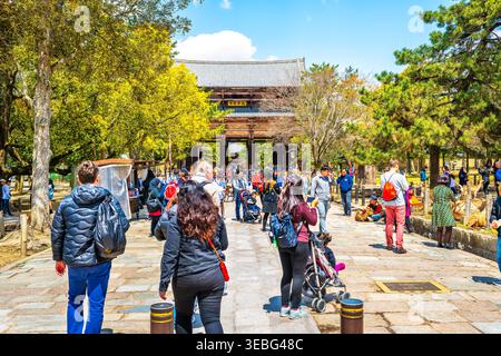 Nara, Japon - 15 avril 2019 : les touristes étrangers foule marchant sur le sentier de la rue du temple Todaji dans la ville, nourrissant des cerfs sika Banque D'Images