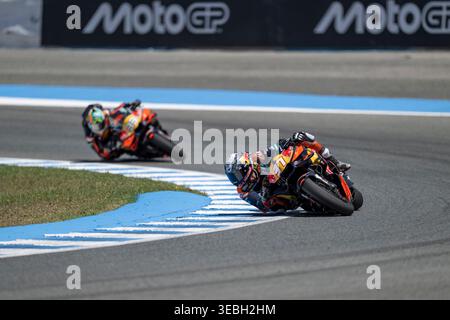Jerez de la Frontera, Espagne. 26 avril 2026. Coureurs #33 Brad Binder (Red Bull KTM Factory Racing) et #37 Pedro Acosta (Red Bull KTM Factory Racing) lors de la course MotoGP au Grand Prix d'Espagne Estrella Galicia 0,0 2026 au Circuito de Jerez Angel Nieto. Crédit : visuel et écrit / Alamy Live News Banque D'Images