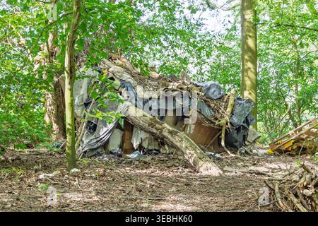 Pénurie de logements, pays-Bas. Un abri de fortune pour sans-abri construit à partir de carton, de bois et de feuilles de plastique noir caché parmi les arbres verts dans un Banque D'Images
