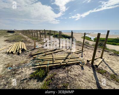 Chantier de construction avec poteaux verticaux en bois et piles de bois sur une plage de sable sous un ciel bleu vif. La scène capture le développement de Banque D'Images