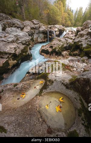 Vue sur la vibrante rivière turquoise sculptée à travers des roches gris mousseline accidentées, ornée de feuilles d'automne dorées éparpillées, Soča, Tolmin, Slovénie. Banque D'Images