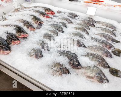 Assortiment de poissons crus entiers frais, y compris le tilapia, exposés sur un lit de glace pilée au comptoir de fruits de mer d'un supermarché. Les étiquettes de prix vierges sont visibles à Banque D'Images