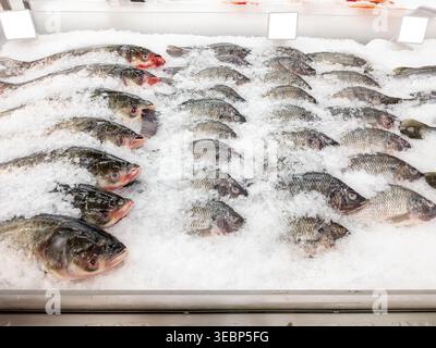 Assortiment de poissons crus entiers frais, y compris le tilapia, exposés sur un lit de glace pilée au comptoir de fruits de mer d'un supermarché. Les étiquettes de prix vierges sont visibles à Banque D'Images