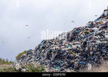 Un grand site d'enfouissement montre un tas d'ordures tandis que les oiseaux volent au-dessus dans un ciel nuageux. Les déchets sont empilés haut dans le paysage. Banque D'Images
