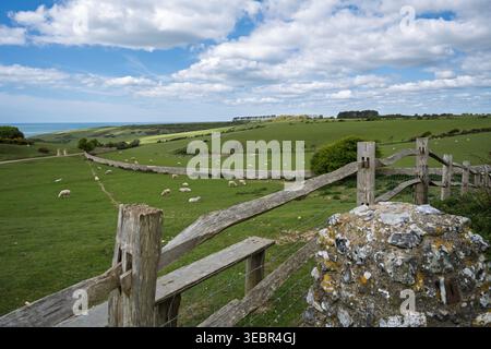 Vue sur les South Downs regardant vers Crowlink et la mer Banque D'Images